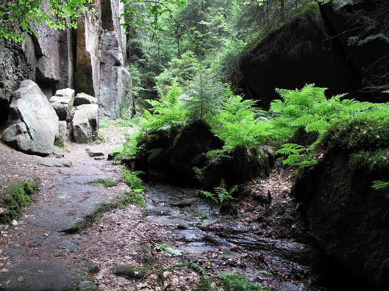 2010-06-12, Uttewalder Grund (32).jpg